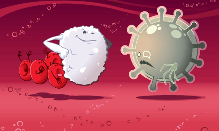 <p>-They can change shape to ingest microbes - this process is phagocytosis<br>-Others produce antibodies to fight microbes<br>-Some produce antitoxins to neutralize any toxins produced by the microbes<br>-They have a nucleus</p>