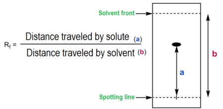 <ol><li><p>Measure the difference from the origin to the solvent front. This is the <mark data-color="blue" style="background-color: blue; color: inherit">distance traveled by the running solvent.</mark> </p></li><li><p>Measure the distance from the origin to the center of the outlined pigment. This is the <mark data-color="green" style="background-color: green; color: inherit">distance traveled by the pigment.</mark> </p></li><li><p>Calculate the Rf value using the formula </p><p><strong>Rf = <mark data-color="green" style="background-color: green; color: inherit">(Distance traveled by the pigment)</mark> / <mark data-color="blue" style="background-color: blue; color: inherit">(Distance traveled by the running solvent) </mark></strong></p></li></ol><p></p>