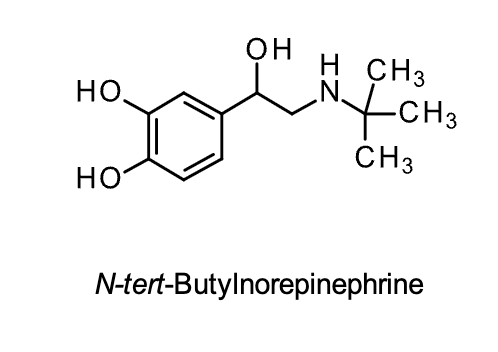 <p><strong>N-<em>tert</em>-butyl Norepinephrine</strong></p><p class="p1"><strong>Structural Evaluation:</strong></p>