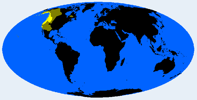 <p>Pacifid</p>
