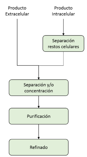 <p>¿En qué momentos se puede encontrar la adsorción?</p>