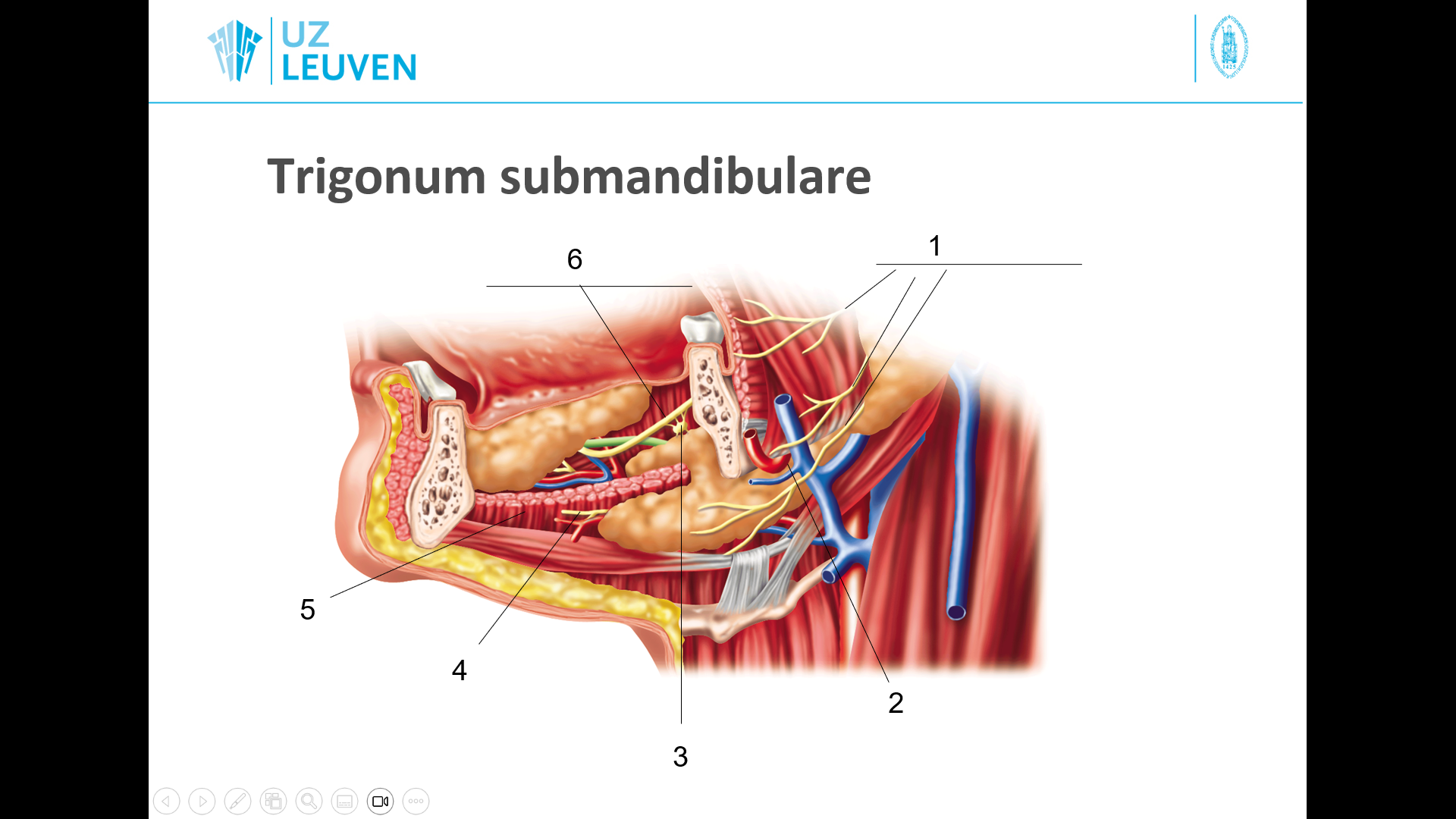 <p>2</p>