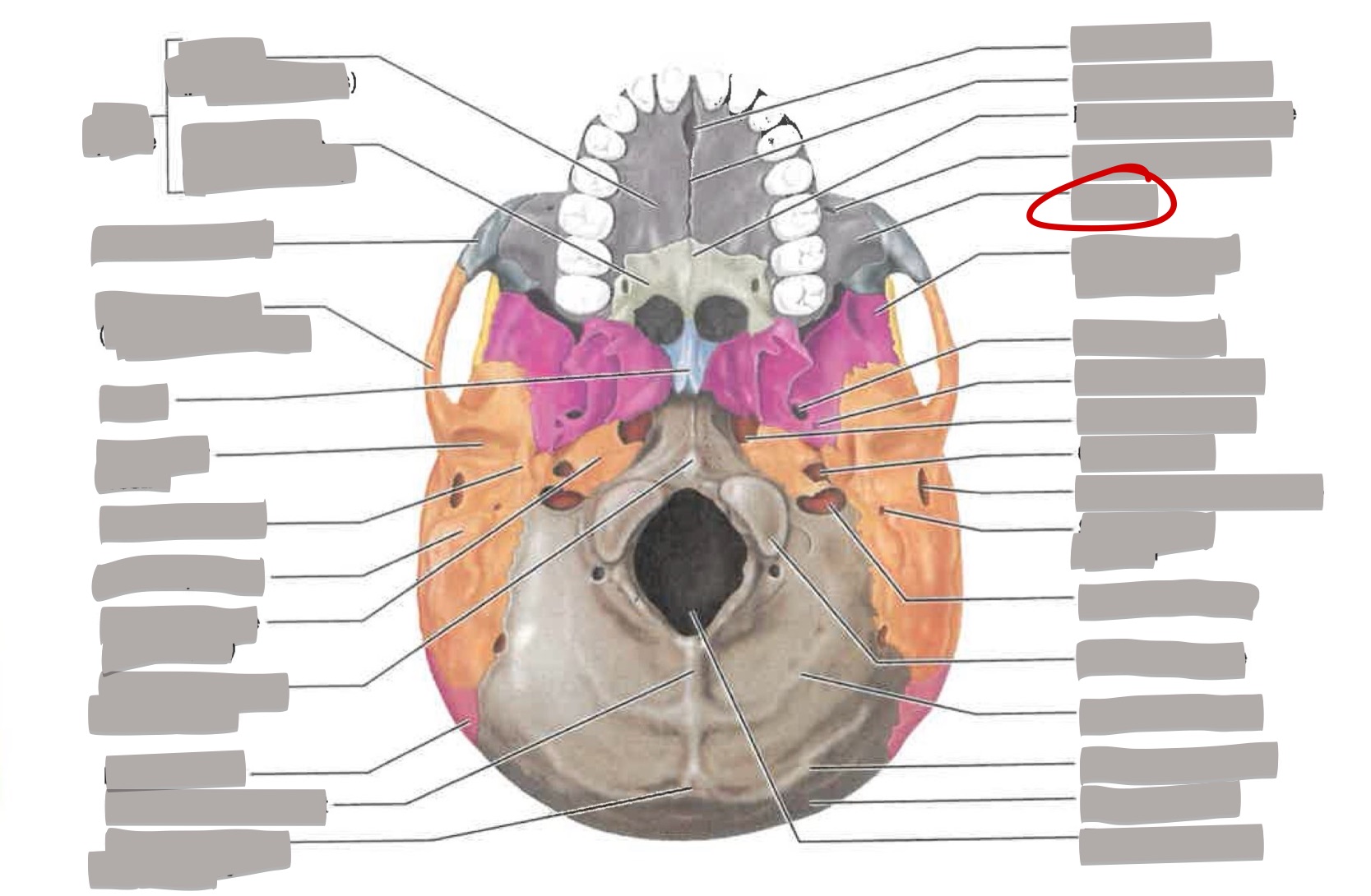 term image
