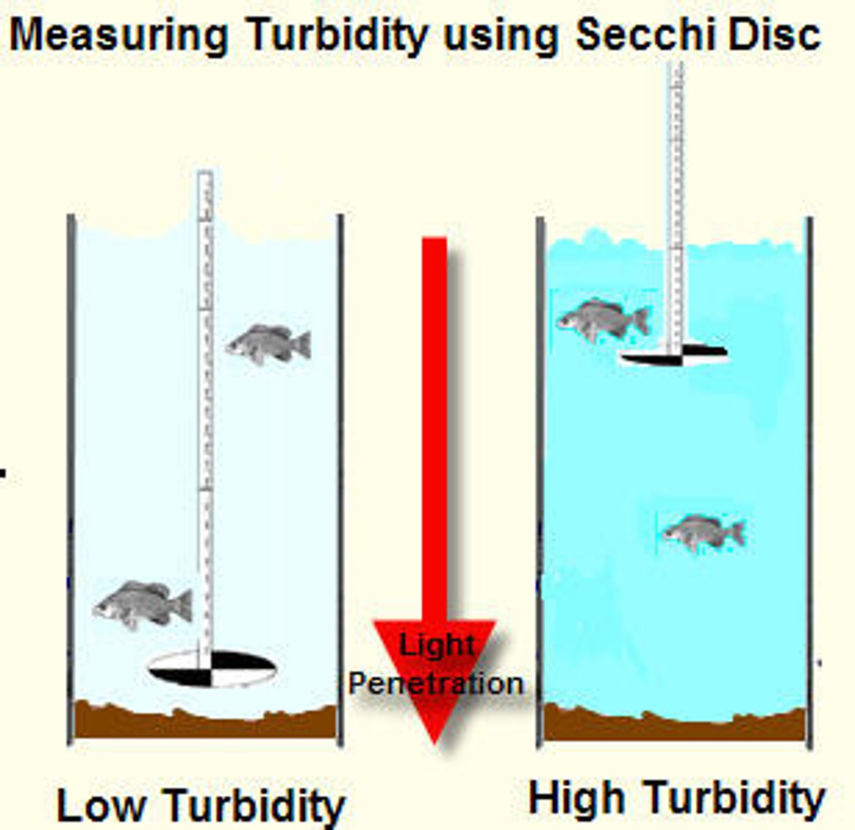 <p>circular disk to measure turbidity. lower into water until invisible, &amp; depth = turbidity.</p><p>- easy to do</p><p>- cheap</p><p>- measured w/ eyes, vulnerable to research bias</p><p>- can be time consuming</p>
