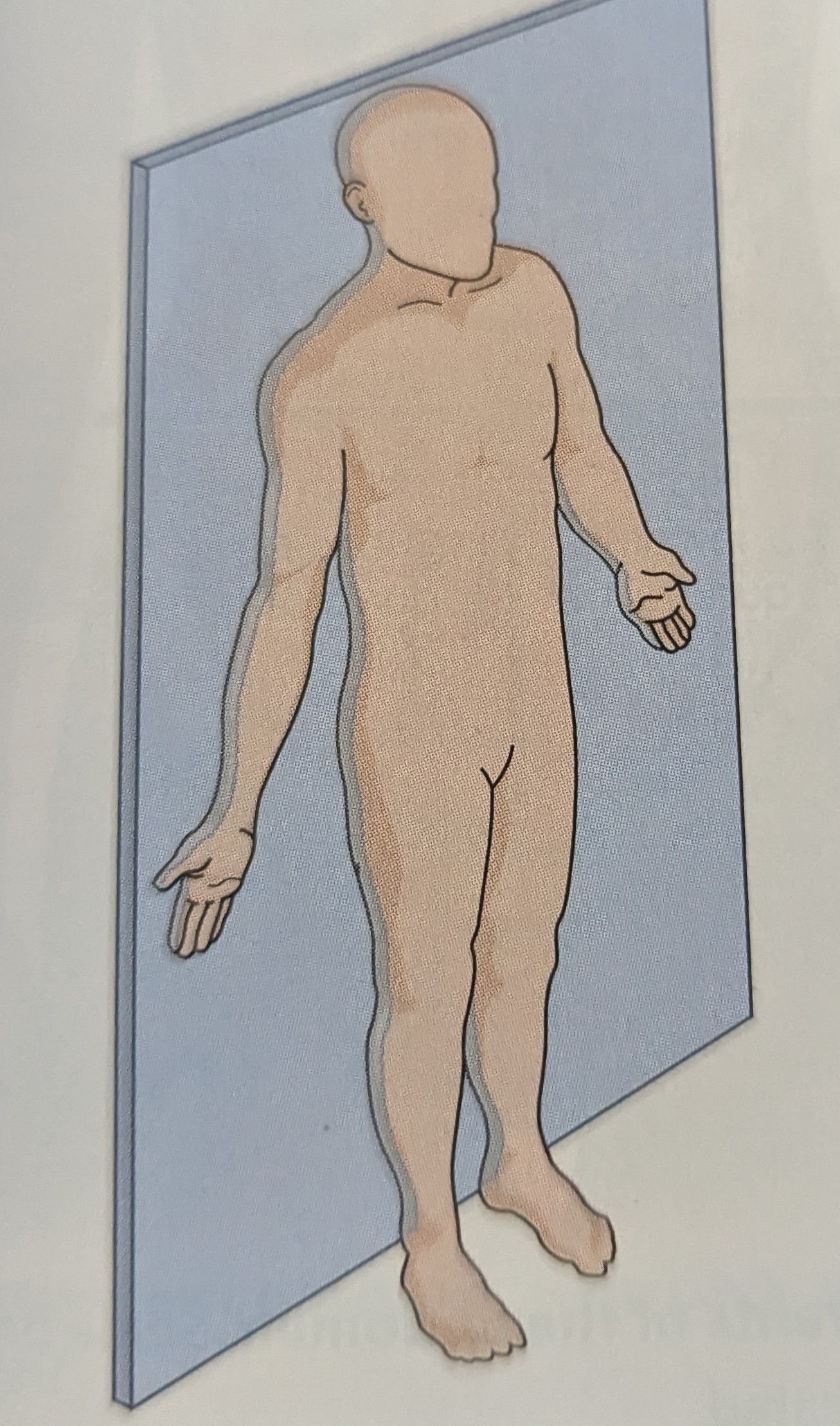 term image
