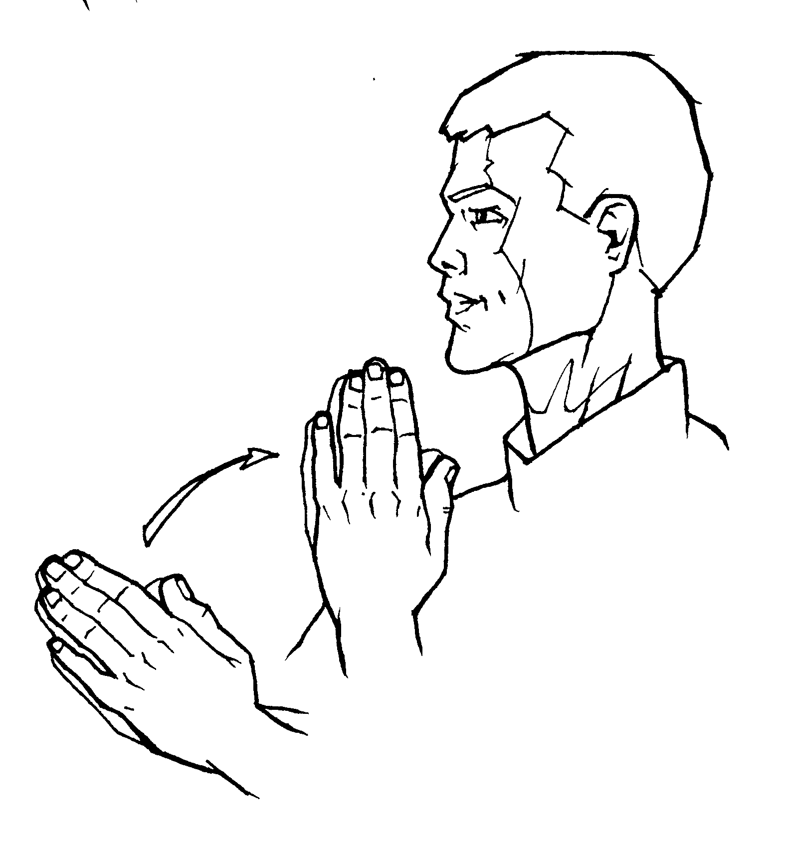 <p><span style="font-size: medium">little smaller and use a double motion</span></p>