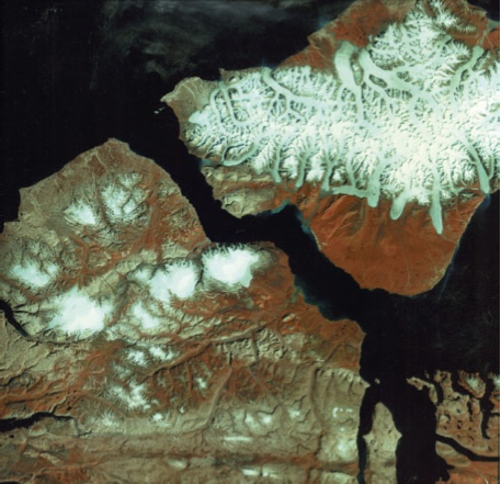 term image
