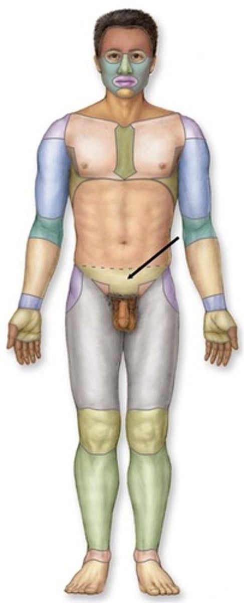knowt flashcard image