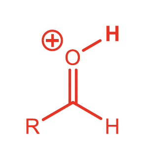 <p>Protonated Aldehyde</p>