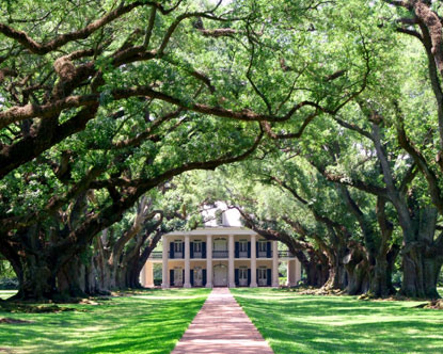 <p>-The Europeans created colonies in the United States and used enslaved labor to create __________ crops as part of the Columbian Exchange</p><p>-These were American luxury crops that were not vital or required for people's diets in Europe and the Middle East, but they were sold for lots of profit and money </p><p>-These two ___________ crops grown in America and sold in European and Middle Eastern markets were _______________ and ____________________</p>