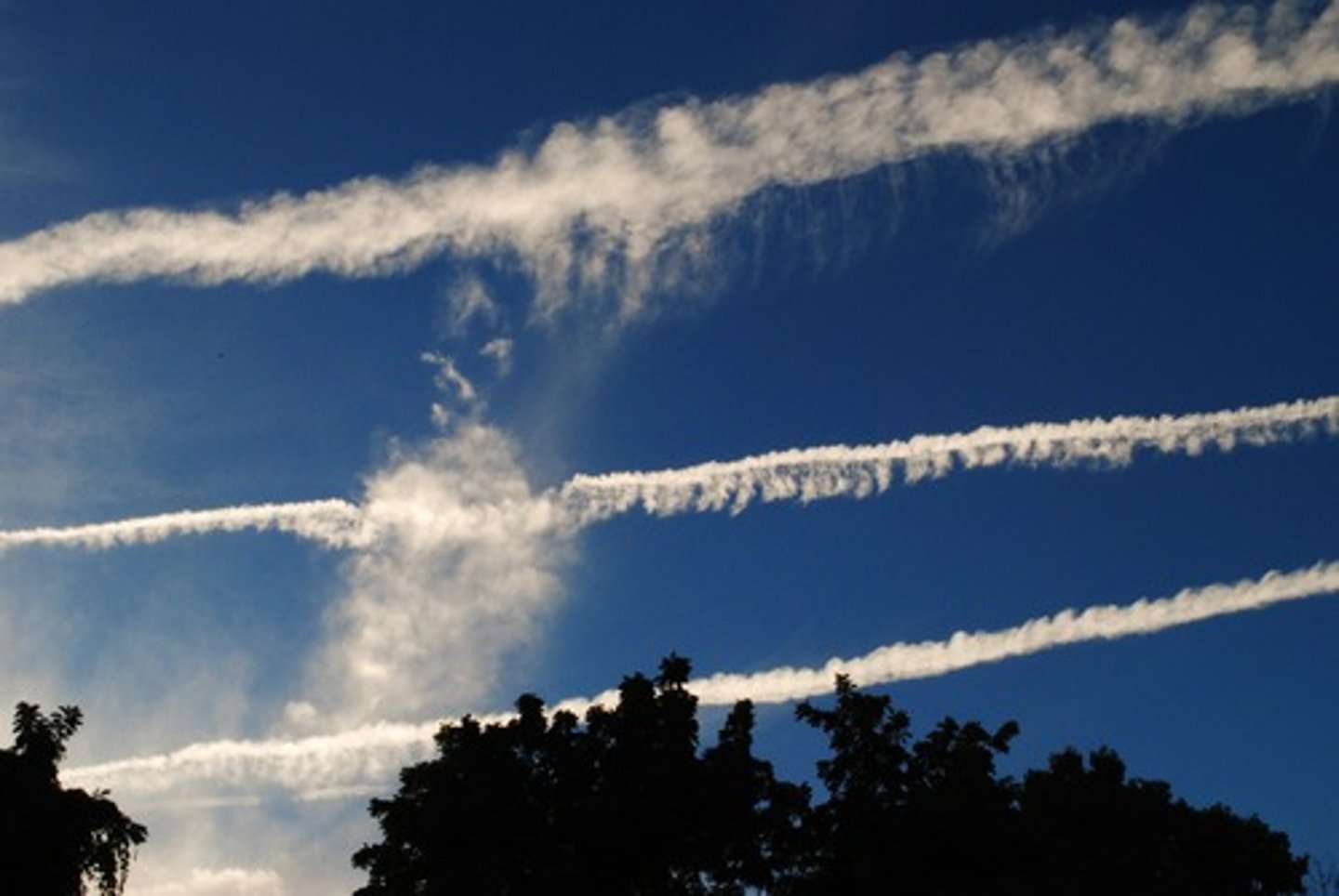 <p>A wind that flows at great speeds in the stratosphere</p>