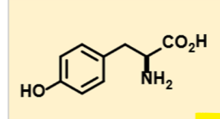 <p>what molecule is this</p>