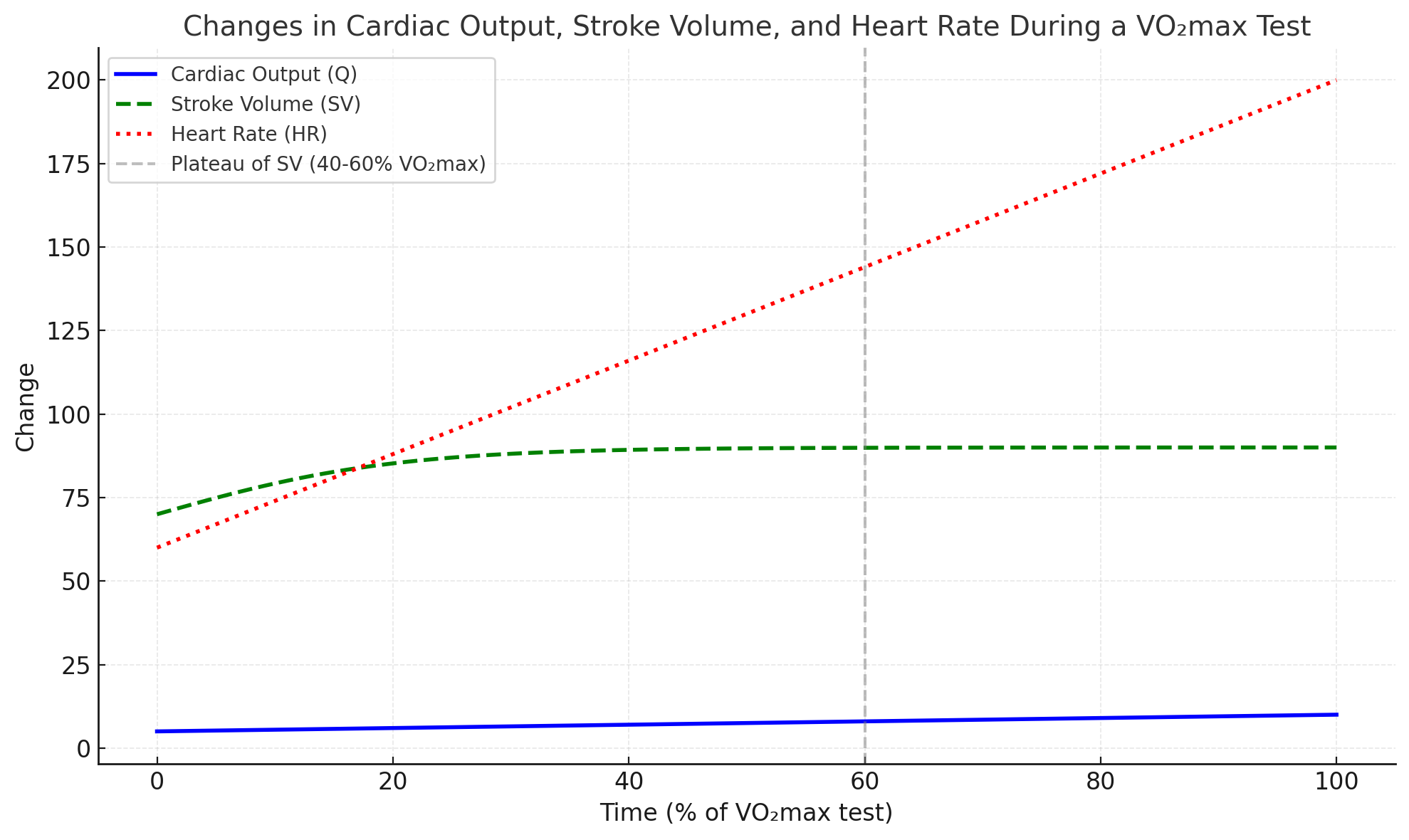 <ul><li><p>Cardiac output increases linearly during the test to supply more oxygenated blood to the working muscles.</p></li><li><p>Stroke volume increases initially but plateaus at about 40-60% of VO₂max in most individuals. Early in the test, the heart pumps more blood per beat due to enhanced ventricular filling and forceful contractions. However, at higher intensities, stroke volume reaches its maximum as the time for ventricular filling shortens. </p></li><li><p>Heart rate increases linearly throughout the test until it reaches the maximum heart rate. To compensate for the plateau in stroke volume, the heart beats faster to maintain the increase in cardiac output. The body has reached its maximal capacity for oxygen uptake and utilization during exercise.</p></li></ul><p></p>