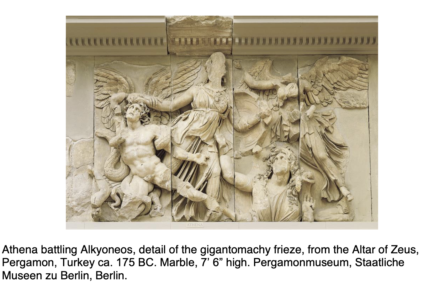 <p>Frieze</p>