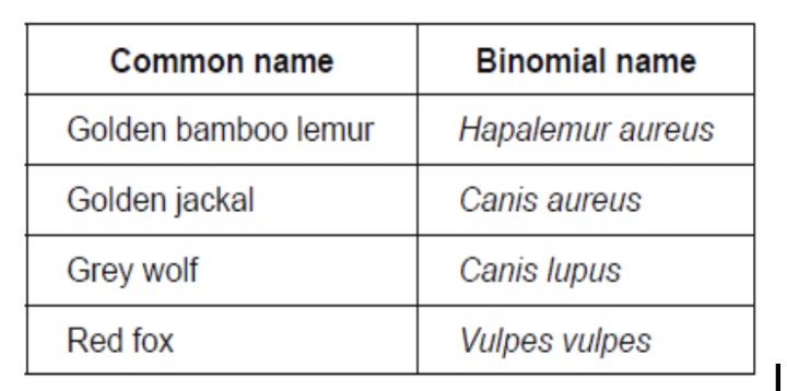 <p><span style="background-color: transparent;"> The table gives common names and binomial names for some mammals.</span></p><p></p><p><span style="background-color: transparent;">(a) State <strong>one</strong> feature that characterizes these species as mammals.</span></p>