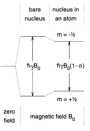 <p>shielding reduces the Larmor frequency of a nucleus</p><p>= reduces the energy gap between Zeeman eigenstates </p>
