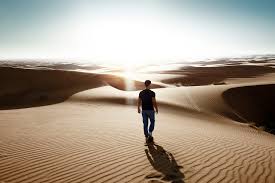 <p>desert</p>