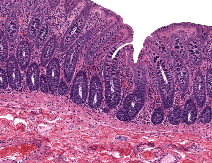 <p>Identify!</p>