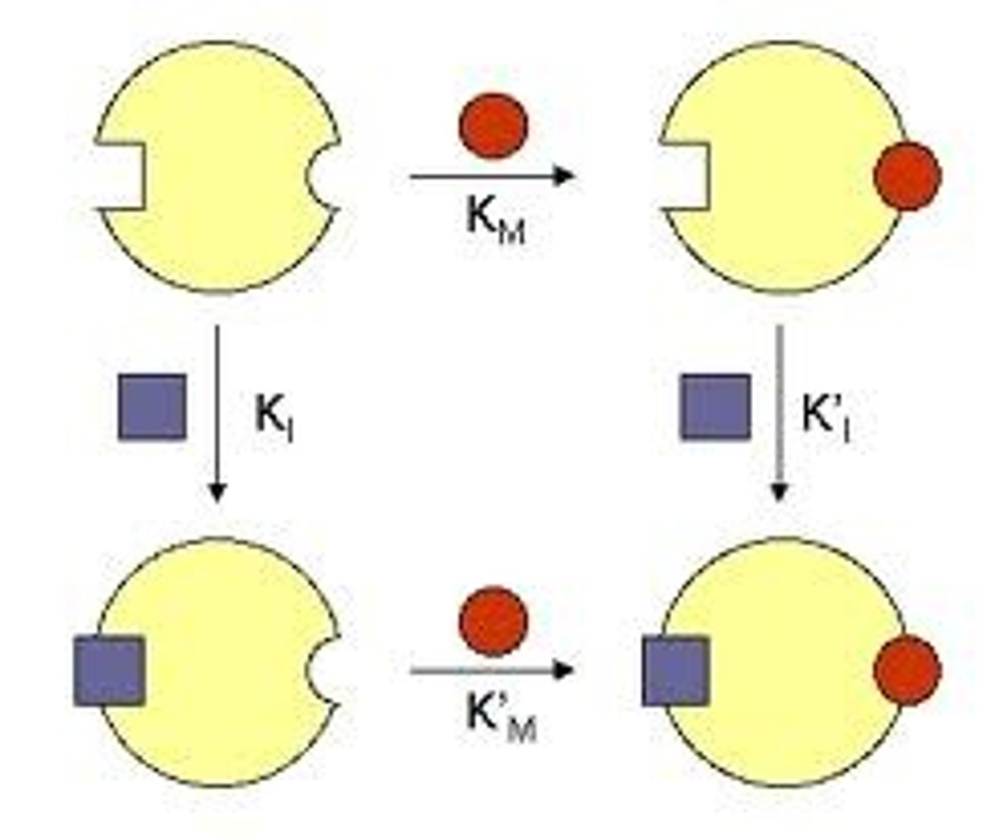 <p>These inhibitors do not appear to have the same structure as substrate, it therefor binds at a different site on the enzyme and the ES complex can still form. It does however hinder the catylitic action of the enzyme and the end product is never produced.</p>