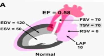 <p>what is this?</p>