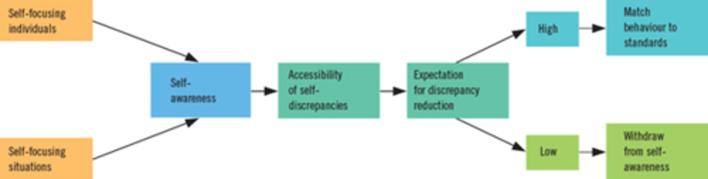 <p>When people focus their attention on themselves, they evaluate and compare their behaviour to their internal standards and values.</p>