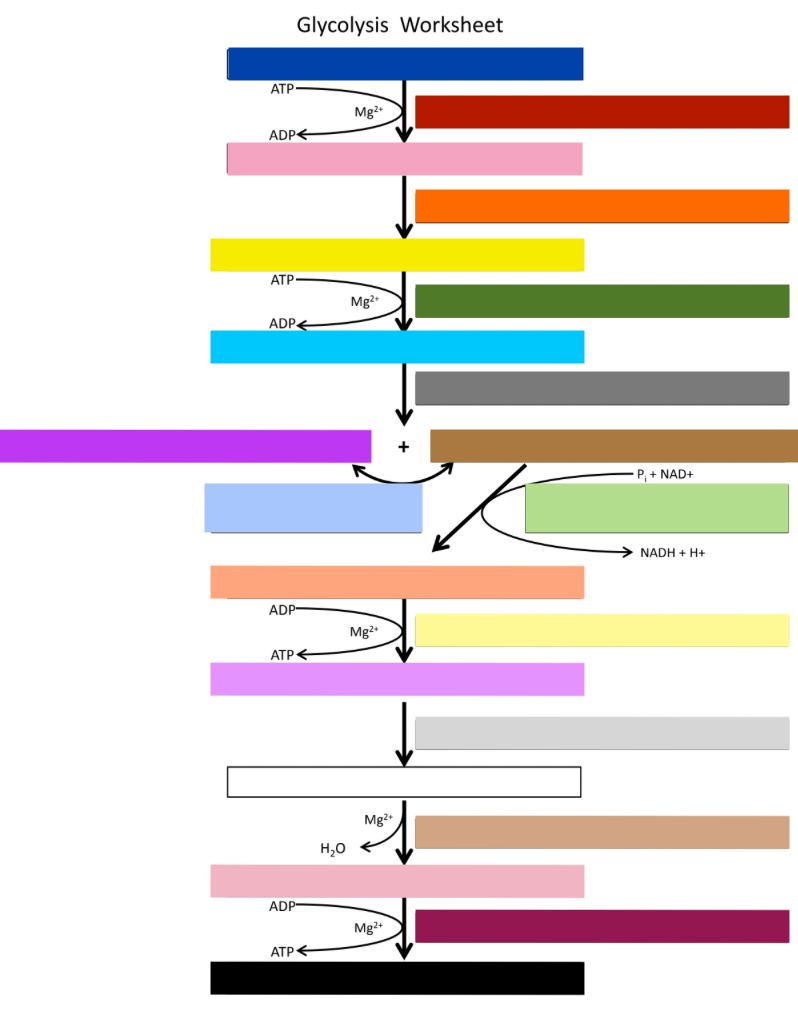 <p>What’s dark green?</p>