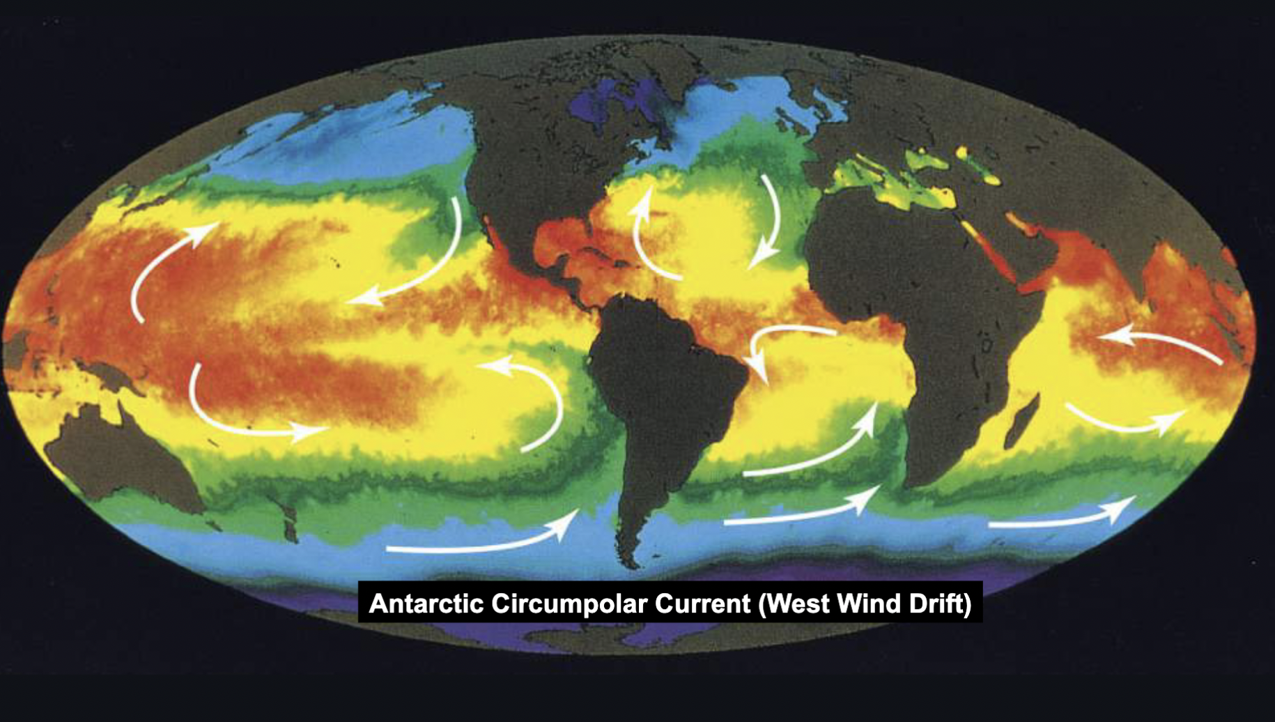 <ol><li><p>5 subtropical gyres</p></li><li><p>1 is the eastward-flowing Antarctica Circumpolar Current (driven by westerlies)</p></li></ol>