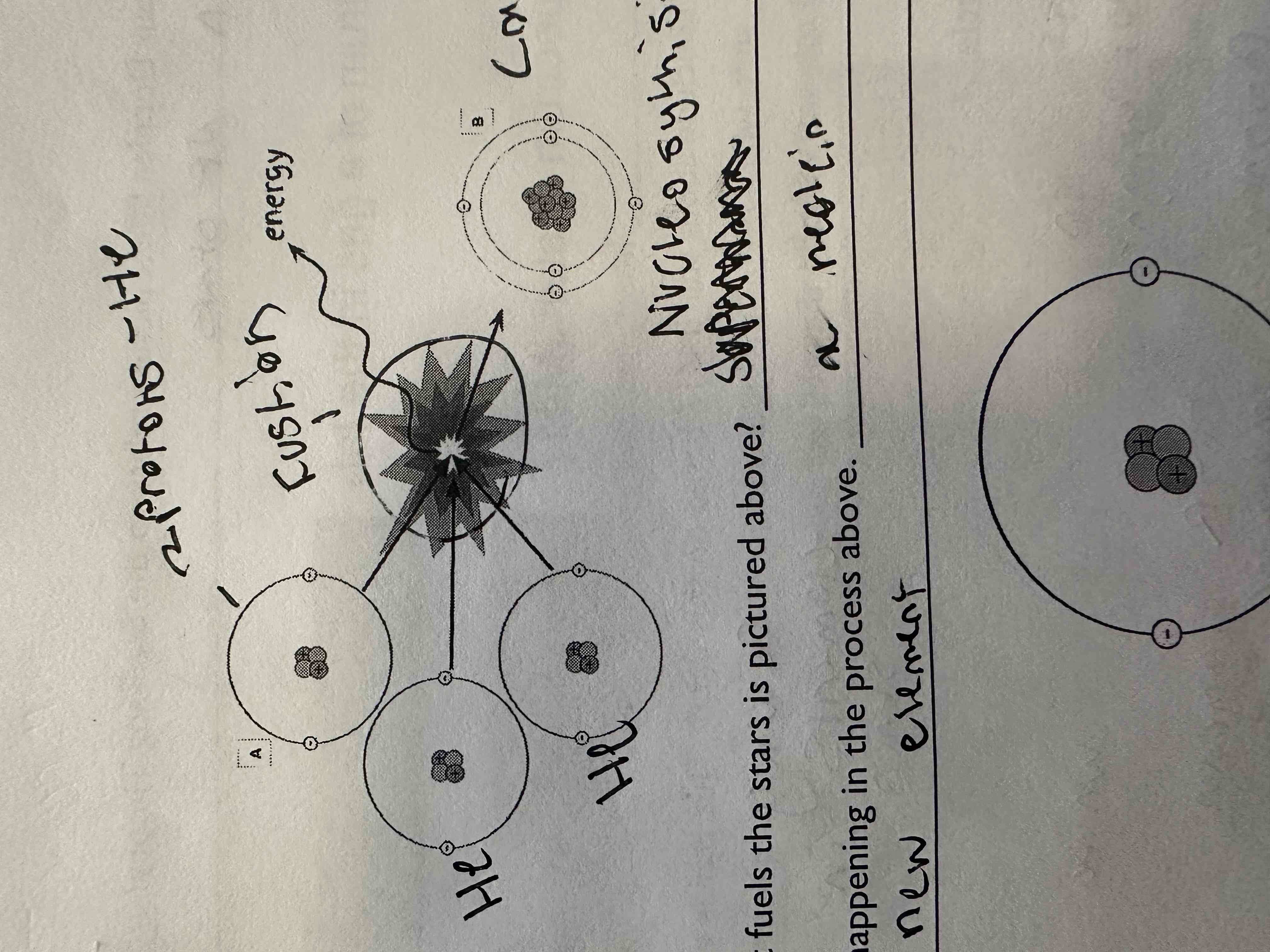 <p>What is this process pictured above?</p>