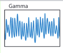 <p>What frequency range are gamma waves?</p>