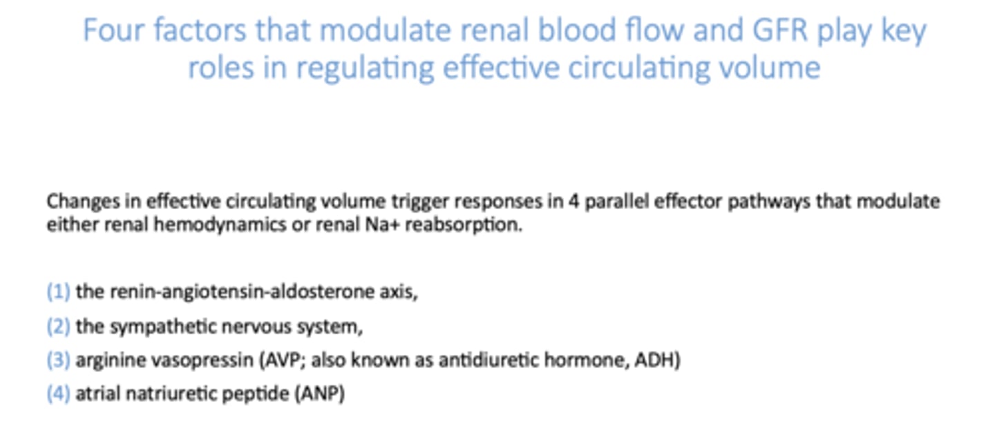 <p>(1) Renin-angiotensin-aldosterone axis</p><p>(2) Sympathetic nervous system</p><p>(3) Arginine vasopressin (AVP or antidiuretic hormone, ADH)</p><p>(4) Atrial natriuretic peptide (ANP)</p>