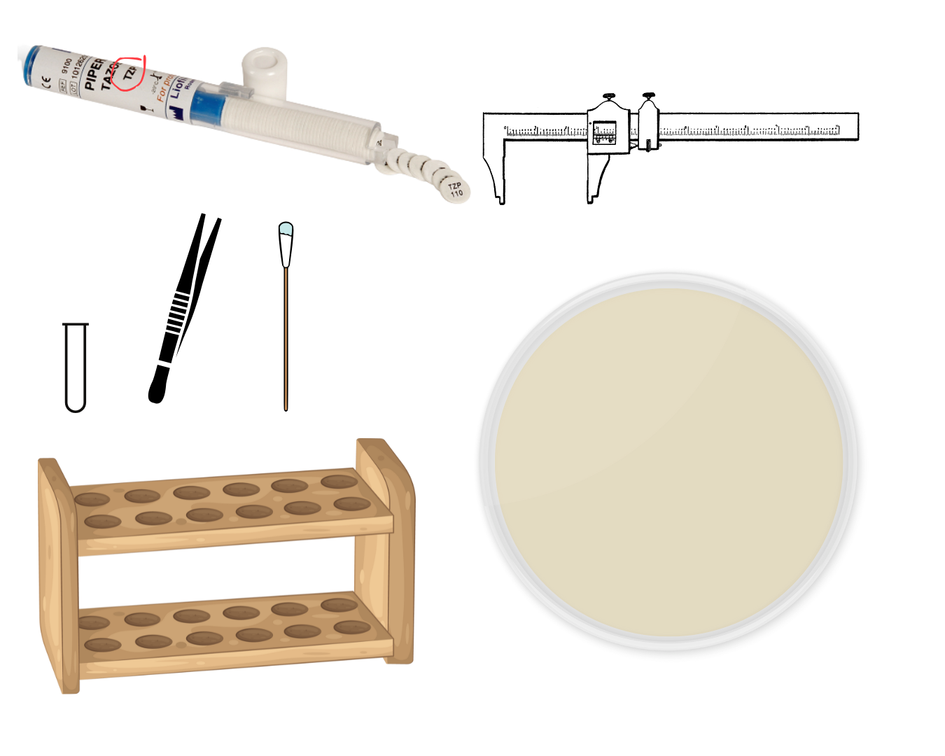 <p>bacterial suspension used in this test is compared to the turbidity of what material and its composition</p>