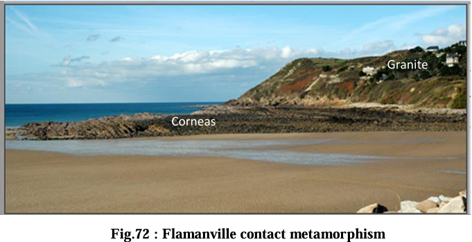 <p>Flamanville halo: what do corneals contain?</p>