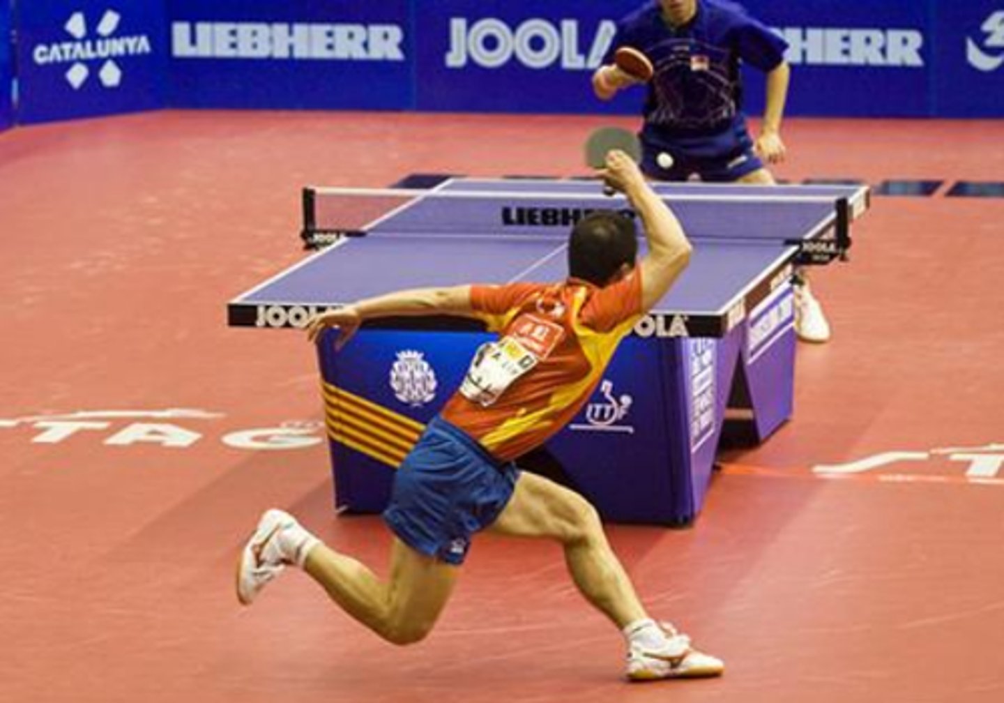 <p>to play table tennis</p>
