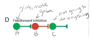 <p>When the output of one level of a circuit requires the activity of the next level to be decreased (D). A synapse on B causing the next level to decrease then neuron C is not going to be activated</p>