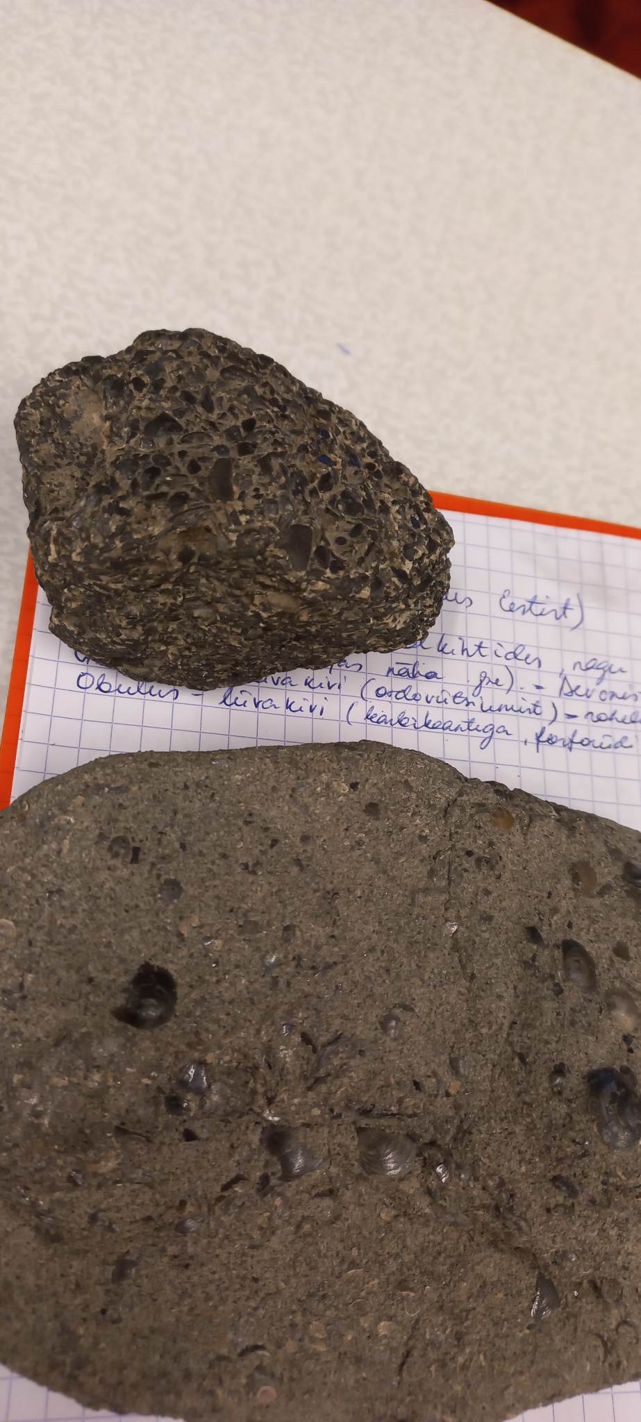 knowt flashcard image