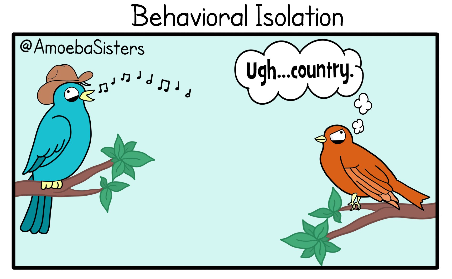 <p>Behavorial Isolation</p>