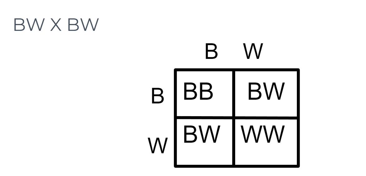 <p>in which both alleles are dominant and both are expressed equally, A capital letter represents one of the codominant alleles.  A different capital letter represents the other codominant allele so that the two are easily differentiated. Example: <em>Roan cattle exhibit codominance; they are brown and white spotted</em></p>