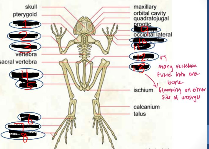 <p>10</p>