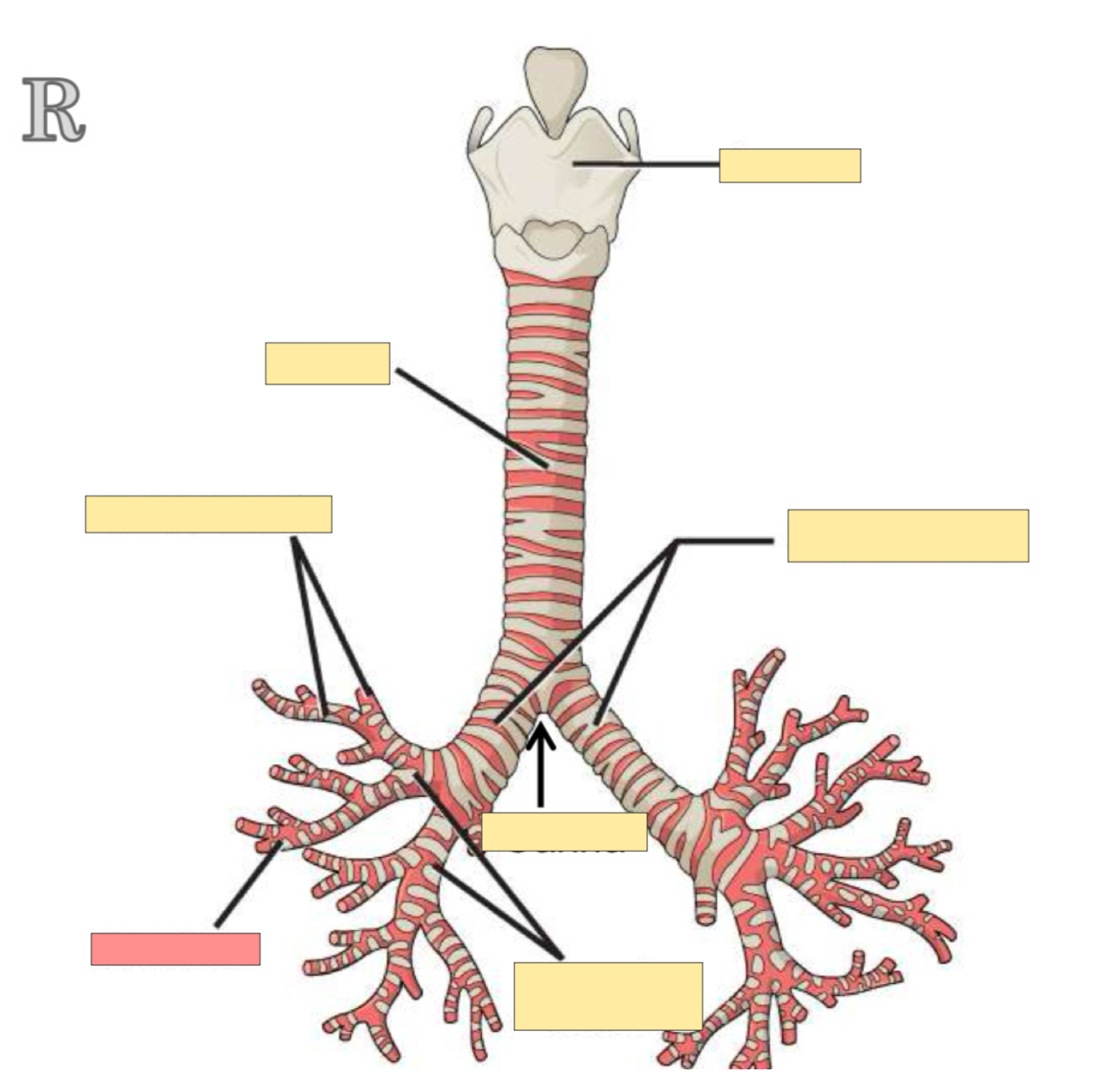 <p>What part is this? </p>