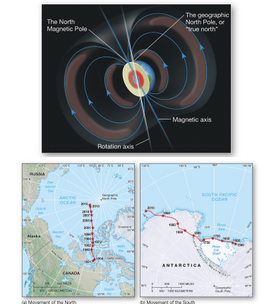 <p><strong>geomagnetic reversals</strong></p>