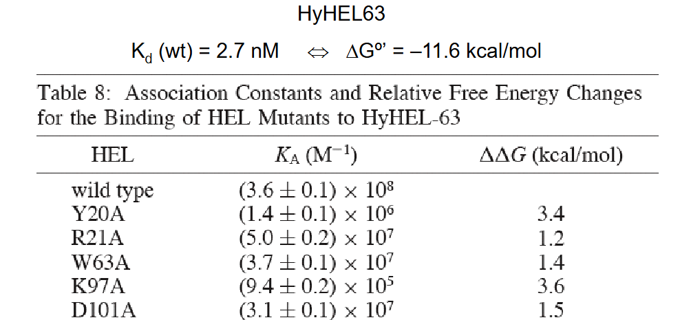 <p>Describe an experiment exemplifying how residue mutations in CDR loops dramatically influence affinity.</p>