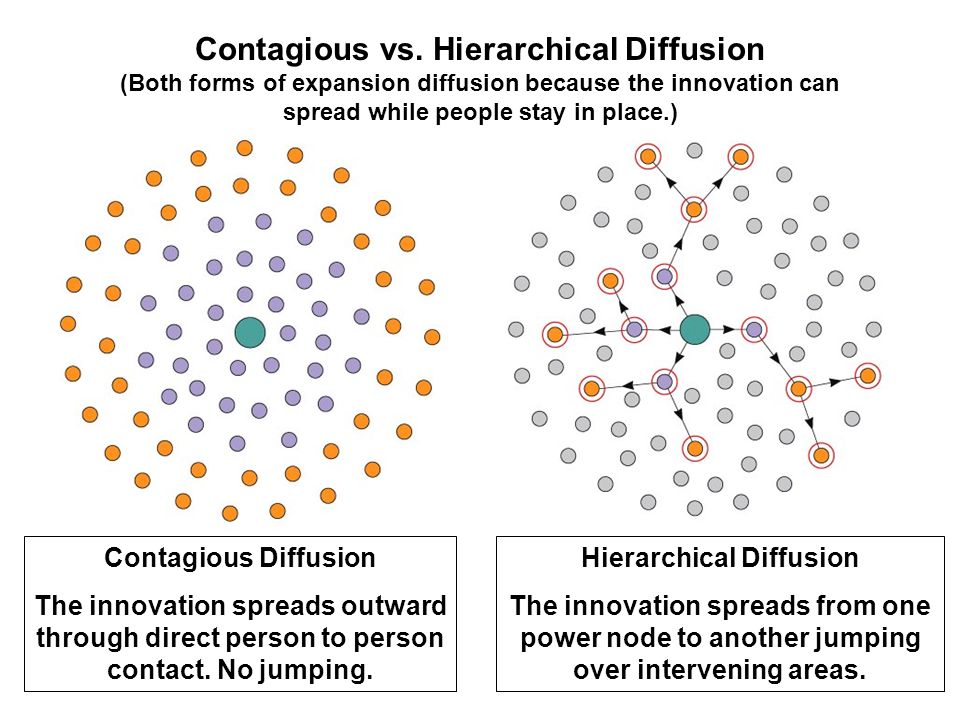 <ul><li><p>A disease spreading through an ordered sequence of places, from the largest centres to smaller centres</p></li></ul><p></p>