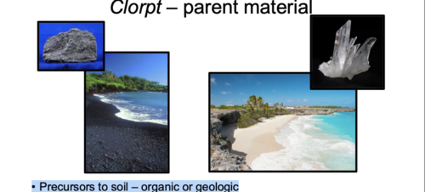 <p>Parent material refers to the original geologic or organic material from which a soil develops. These precursors can be organic (like plant debris or peat) or geologic (like basalt, limestone, quartz sand). The chemical composition of the parent material largely determines the chemical composition of the resulting soil, because weathering breaks down whatever minerals are present into soil minerals. Parent material can form in place from the weathering of the underlying bedrock, or it can be transported from somewhere else by wind, water, ice, or gravity. Different parent materials lead to very different soil types.r</p>