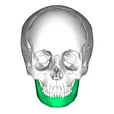 <p>name this bone or bone marking?</p>