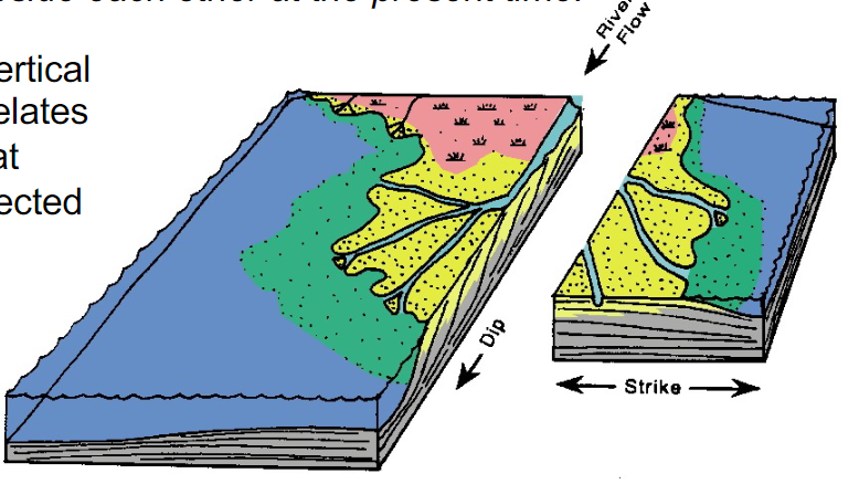<ul><li><p>“ only those facies and facies areas can be superimposed primarily that van be observed beside each other at the present time”</p></li><li><p>explains how the vertical stacking of facies relates to enviros that were laterally connected in the past</p></li></ul>