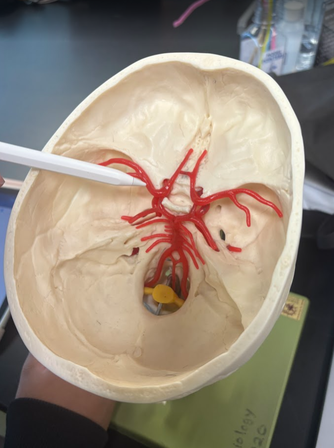 <p>What is this?</p>