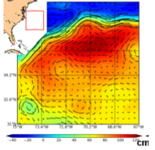 <p>ocean circulation</p>