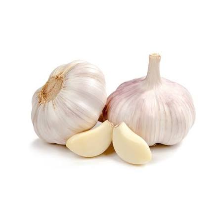 <p>The garlic</p>