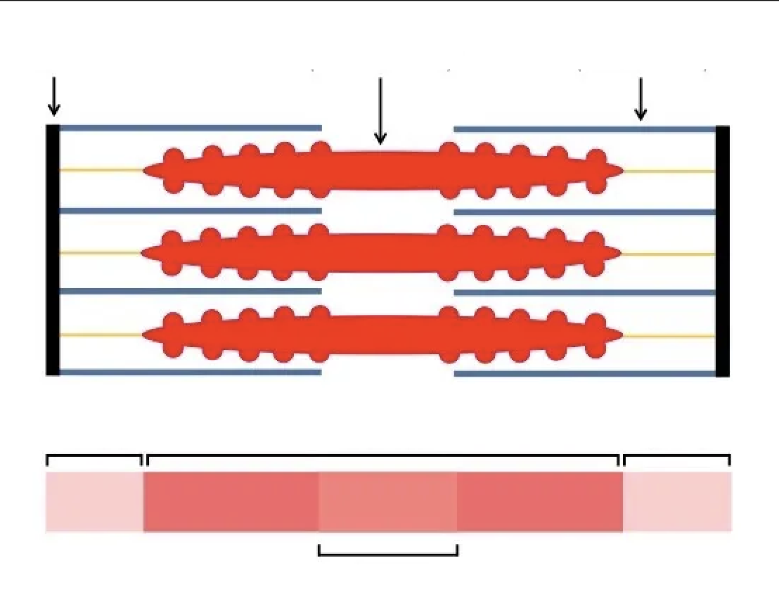 <p>Label this diagram</p>