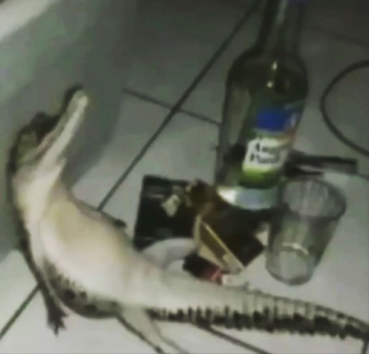 <p>To prohibit the manufacture, sale, and transportation of intoxicating liquors.</p>